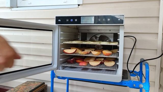 Сушка в дегидраторе овощей-фруктов смотреть онлайн