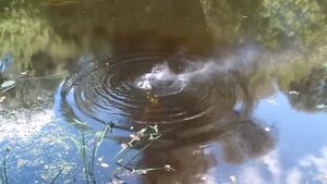 Горение коллоксилина под водой | Kolloksilin burn under water