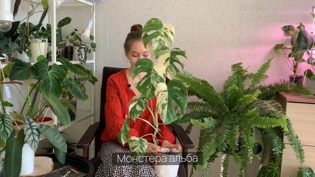 Топ-11 самых любимых растений из коллекции в апреле 2023