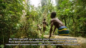 TL8BB Банги Центрально Африканская Республика. С сайта dxnews.com