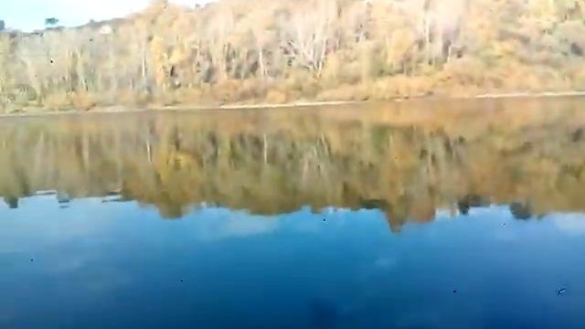 Первый выход на Томь на своей Ривьере 3600 и SEA-PRO 9.9 (15) смотреть онлайн