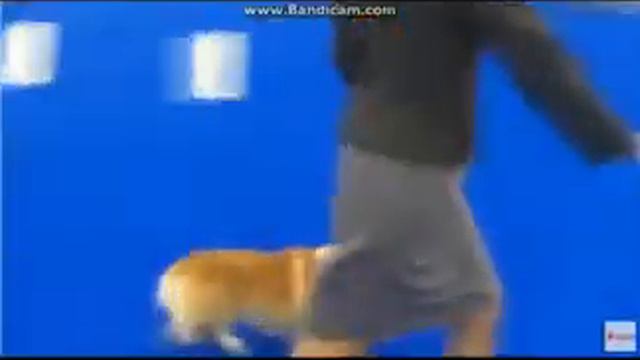 ВЫСШАЯ МЕРА с КОНФИСКАЦИЕЙ им БУДЕТ не ДО СМЕХА