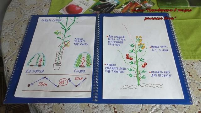 Урок-3.Формируем детерминантные томаты для теплиц,как получить супер-ранний урожай. смотреть онлайн