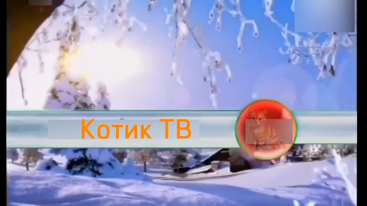 Основная заставка (Котик ТВ, 01.05.2024-н.в.) (зима) для @КотикТвДубляж смотреть онлайн