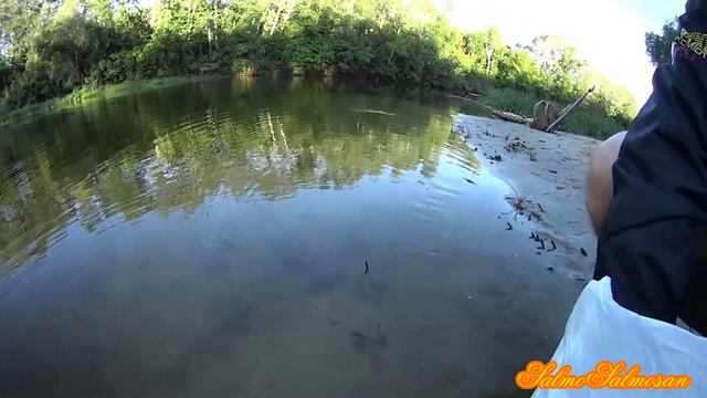 Спортивная рыбалка - поймал - отпусти смотреть онлайн