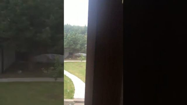 Tutorial.1:Как поймать осу за 1 минуту. смотреть онлайн