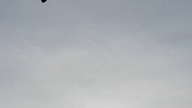 L:t C. Pettersson AJ 37 Viggen 1:10