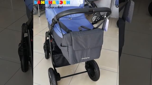 Коляска 2 в 1 Indigo CHARLOTTE Sity 2023