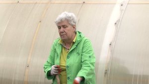 Голова садовая - Лук после зимы