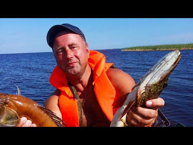 Памяти друга смотреть онлайн