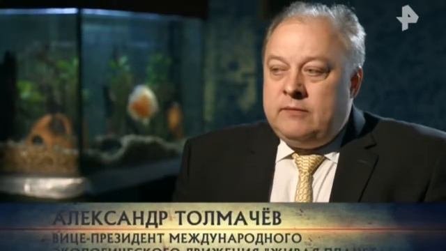 Самые шокирующие гипотезы  Как они сюда попали HD
