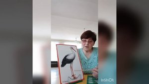 Прилетіли лелеки - весну принесли здалека