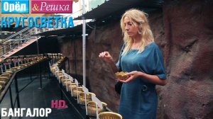 Орёл и Решка. Кругосветка - Бангалор. Индия (1080p HD) 12 СЕЗОН 11 ВЫПУСК