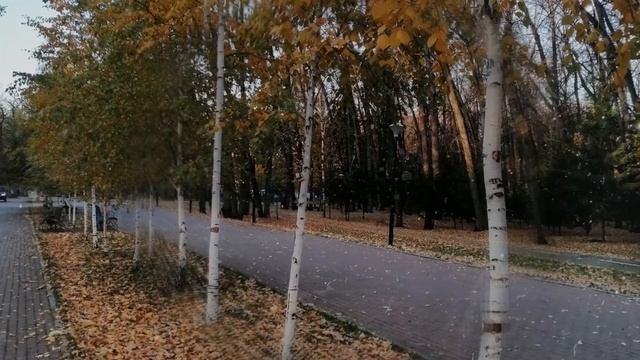 Проект ПроШоу Продюсер "Осенние зарисовки"