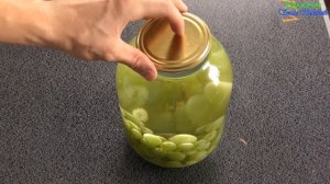 Рецепт компота из зеленого винограда Семья Булатовых