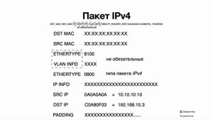 3. MAC и IP адреса просто