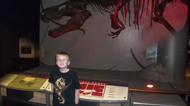 I See Sue! смотреть онлайн