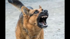 гр. ,,Мама,, - Плачет Мокрое Окно