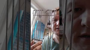СВЧ духовка самсунг ошибка 24