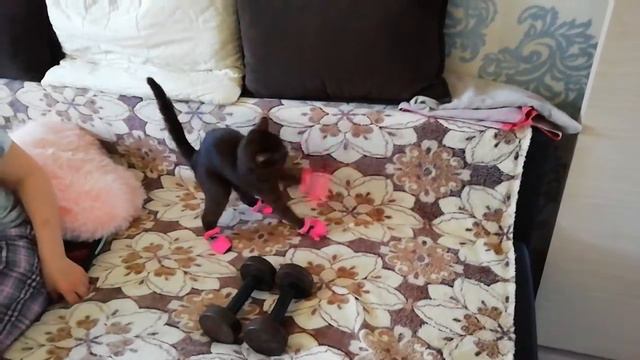 Лира первый раз в тапочках смотреть онлайн