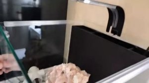 Запуск морского нано аквариума