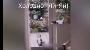 VID_20240119_191909.mp4