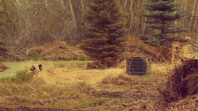 EXPEDITION HAPPINESS | A Shortfilm In Sherwood Park, Alberta, Canada