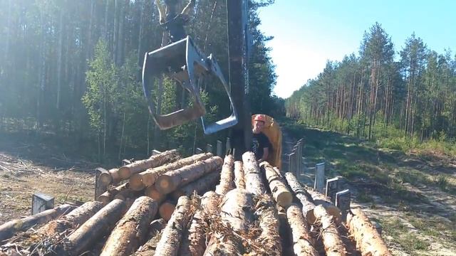 Сортиментовоз Маз