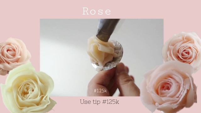 국화 장미 그린리시안셔스 안개꽃 앙금플라워 Chrysanthemum/ Rose/Green Lisianthus/ Common Gypsophila/flower piping смотреть онлайн
