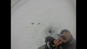 блесна гвоздь (парамонка)