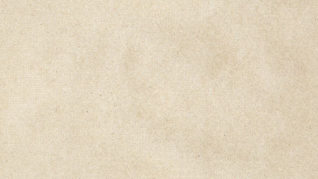 Terence McKenna and the Meme of Culture смотреть онлайн