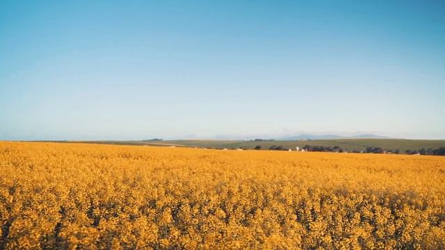 Музыка для души. Relax music. Арсений Якшиянц - Целую нежно и осторожно смотреть онлайн