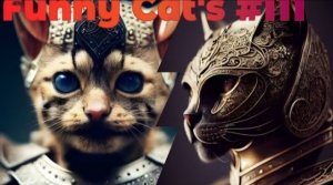 Смешные коты #111