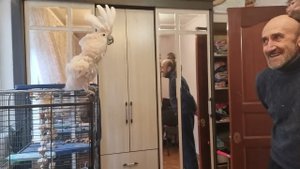 Люська РАССЛАБИЛАСЬ сидя на окне и Жорик ПОДКРАЛСЯ НЕЗАМЕЧЕННЫМ!