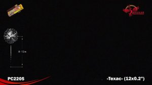 РС2205 Техас