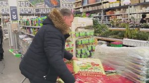 Выбираем землю для рассады. Новые сорта табака. Первые всходы. Наша жизнь в деревне
