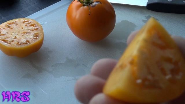 ⟹ Dad's Sunset Tomato | Solanum lycopersicum | Tomato Review 2018 смотреть онлайн