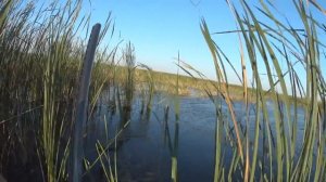 Охота на утку 2021 | ПЕРВАЯ ОХОТА в 18 лет | Открытие охоты в КАЗАХСТАНЕ. МЦ 21-12.