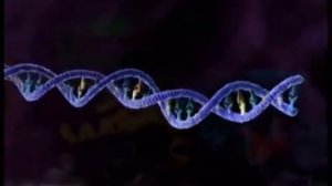 Как выглядят микробы