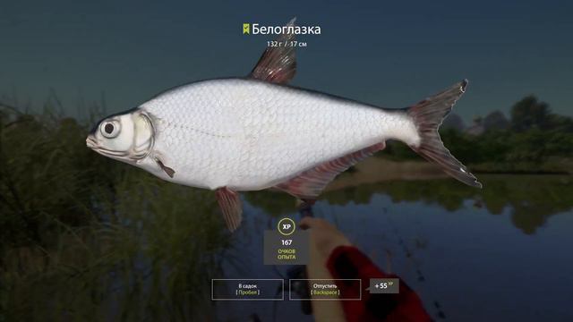 Русская рыбалка 4 р. Вьюнок (Ёрш - носарь Густера) смотреть онлайн