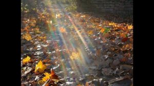 После бала [кавер Д.Маликов]