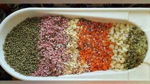 Возвращайтесь домой, мальчики!