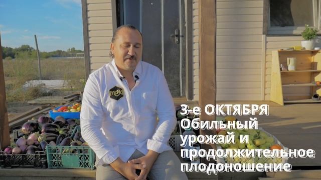 Удобрения с Фульвокислотами - кошмар огородника? Честный отзыв! смотреть онлайн