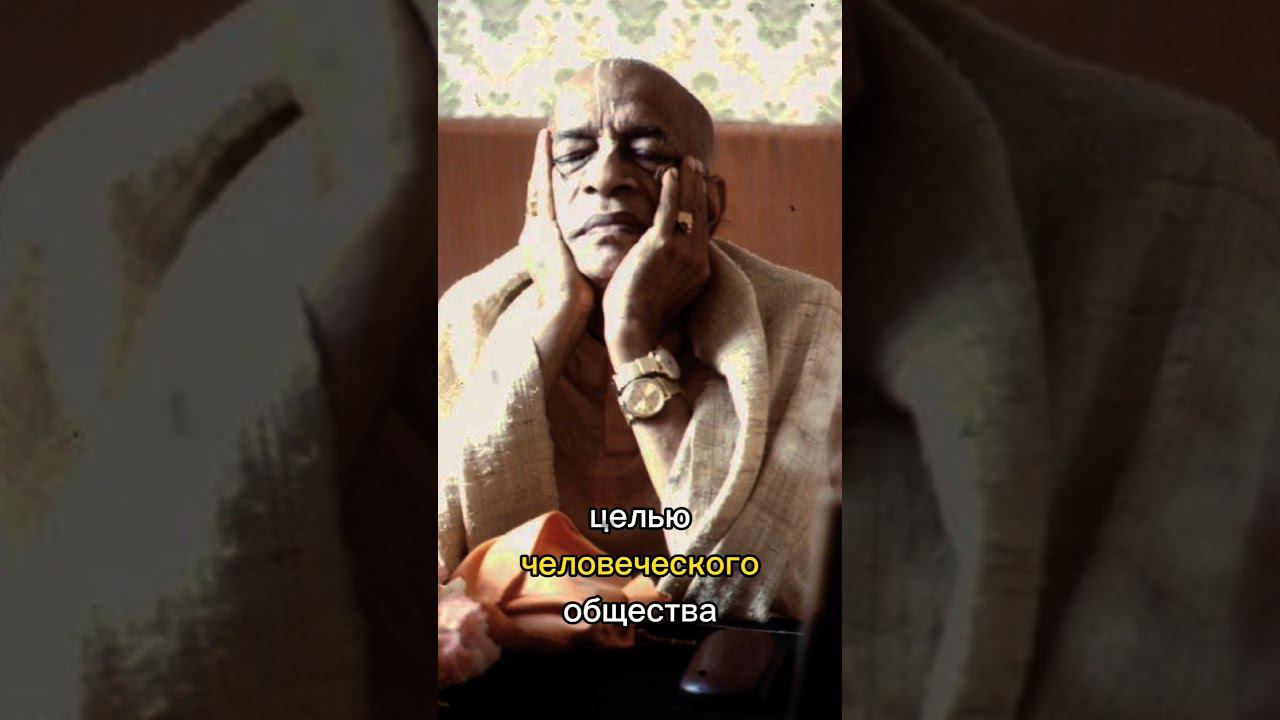 Человек и животное, так в чем же разница? смотреть онлайн