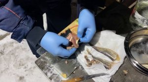 Пробую Сюрстрёминг #surstromming #surströmming