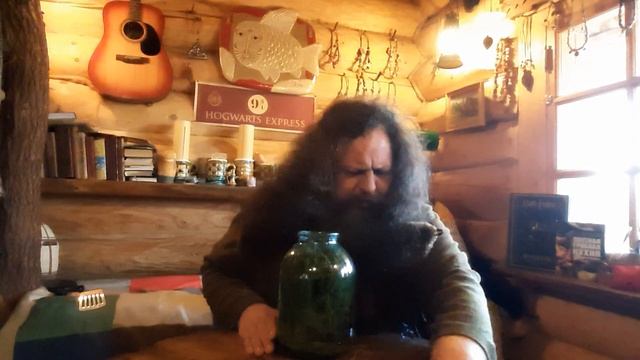 Как приготовить еловый настой смотреть онлайн