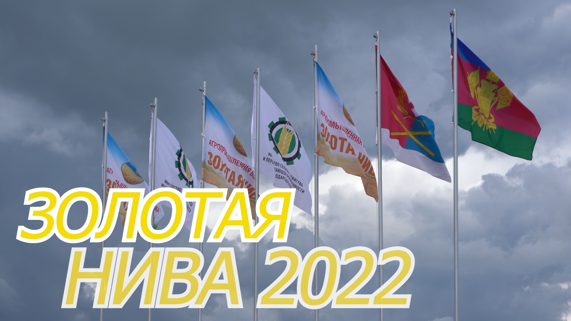 Обзор первого дня выставки Золотая Нива 2022