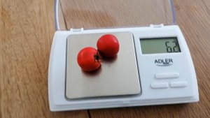 Боярышник Арнольда, Эльвангера, Турнефора (crataegus arnoldiana, ellwangeriana, schraderiana)