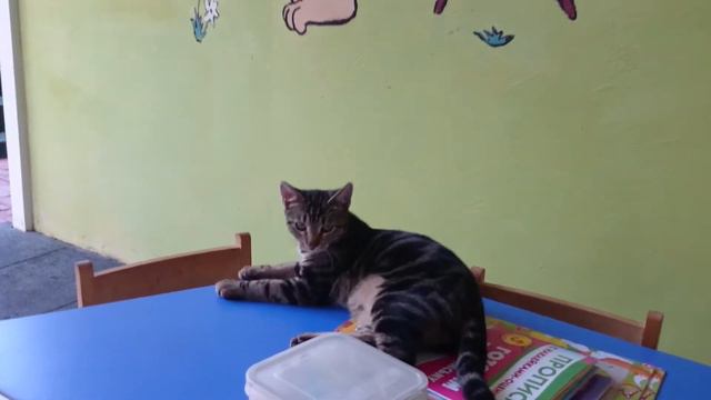 Гости Мини-Клуба, октябрь 2016 - конец сезона смотреть онлайн