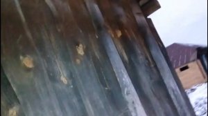 188ой день в деревне  Крыша предбанника